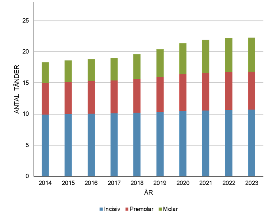Stapeldiagram som visar medelantal incisiver, premolarer och molarer i Sverige mellan 2014 och 2023